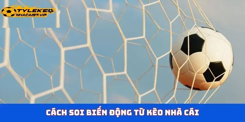 Cách Đọc Biến Động Kèo Hiệu Quả