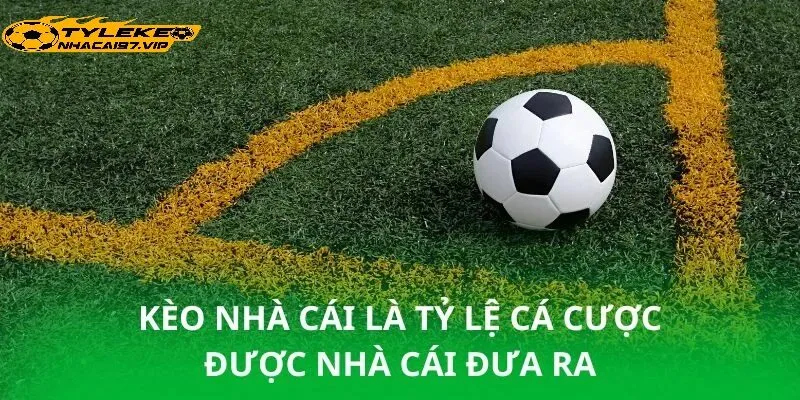 Cách Đọc Biến Động Tỷ Lệ Kèo Hiệu Quả