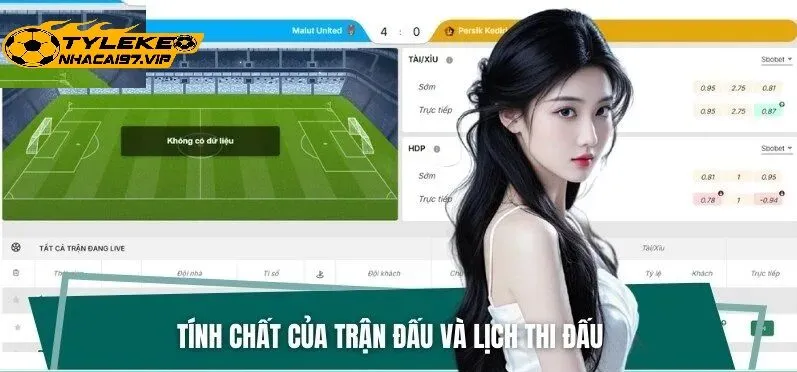 Câu Hỏi Thường Gặp Về Tylekeonhacai (FAQ)