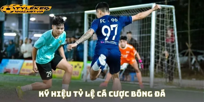 Tỷ Lệ Bóng Đá Là Gì?