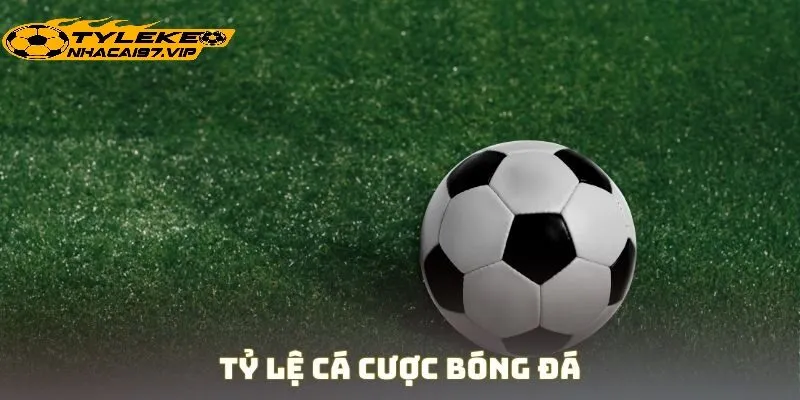 Vai Trò Của Tỷ Lệ Bóng Đá Trong Phân Tích Trận Đấu
