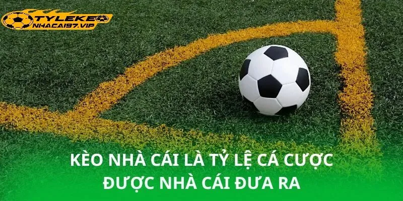 Các Dạng Kèo Tăng Mạnh Thường Gặp